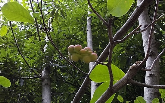 c0280322_21283752.jpg