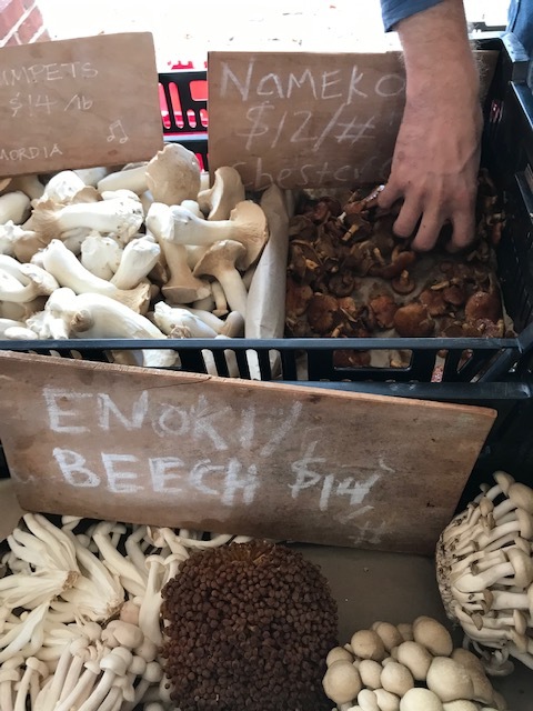 d0269832_20402559.jpeg