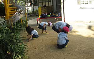 秋が近づいてきました_e0325335_1715338.jpg