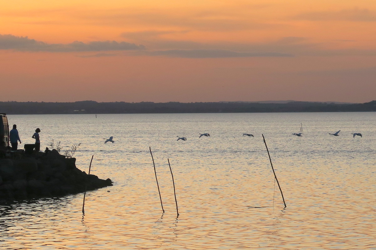 夕日と月と白鳥のトラジメーノ湖_f0234936_727513.jpg