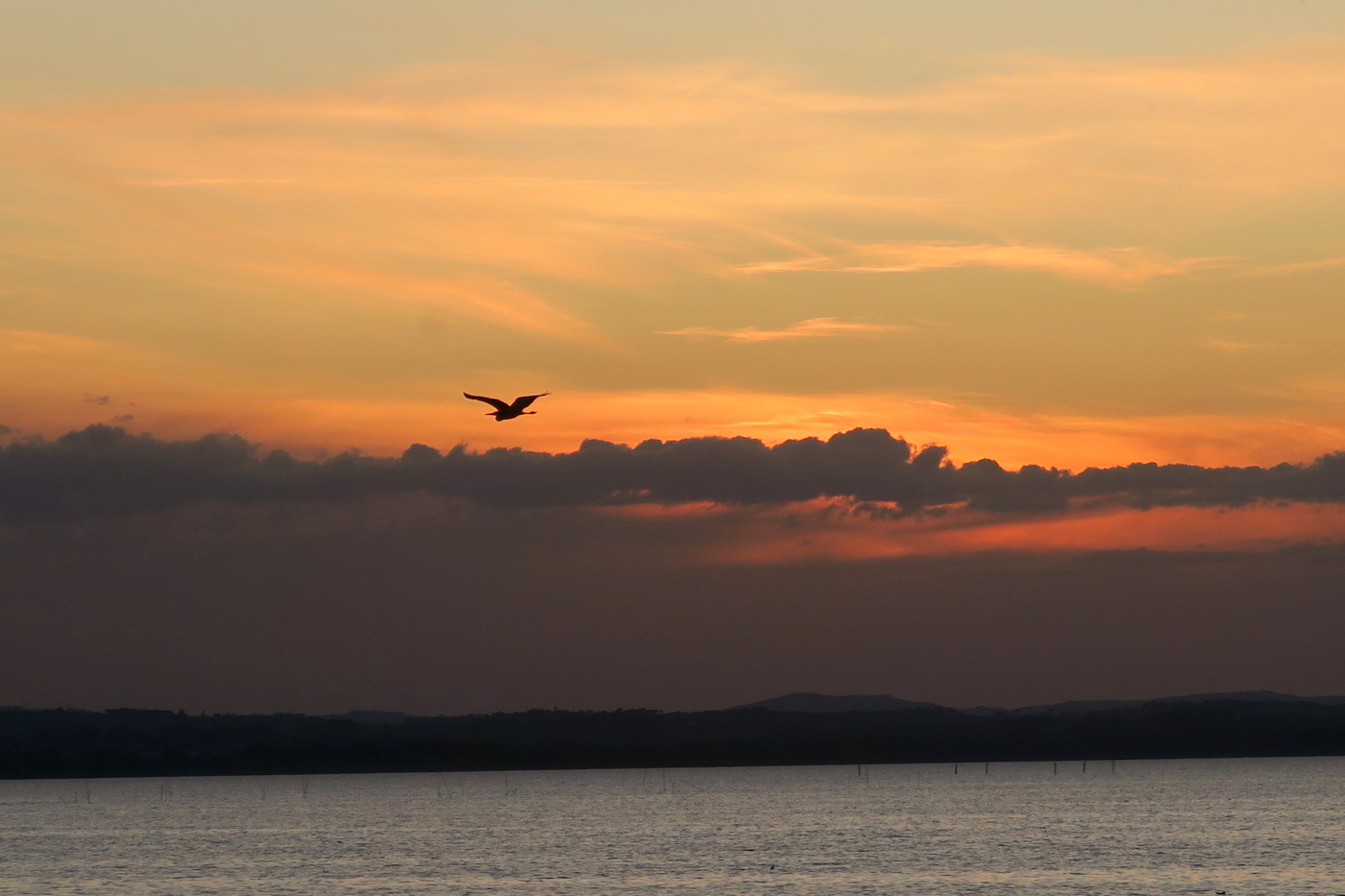 夕日と月と白鳥のトラジメーノ湖_f0234936_7325019.jpg
