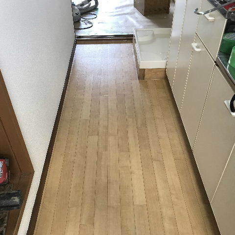 11.6日め かなり盛沢山で・・・_f0031037_18492485.jpg