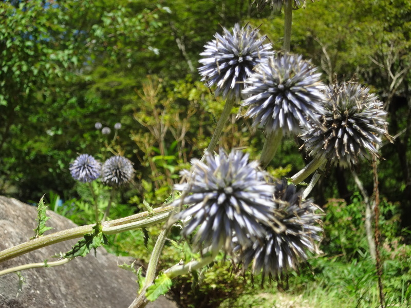 兵庫県六甲ミーツ・アート芸術散歩2019_d0359338_15372961.jpg