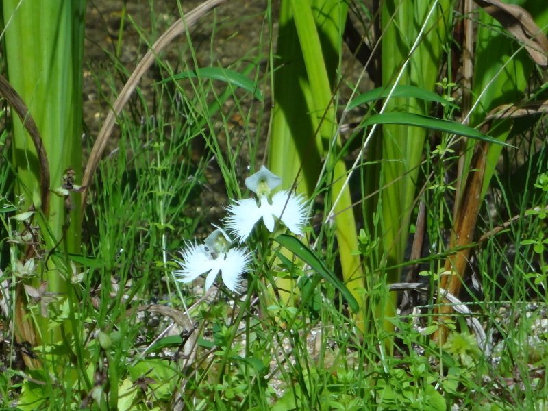 兵庫県六甲ミーツ・アート芸術散歩2019_d0359338_16220689.jpg