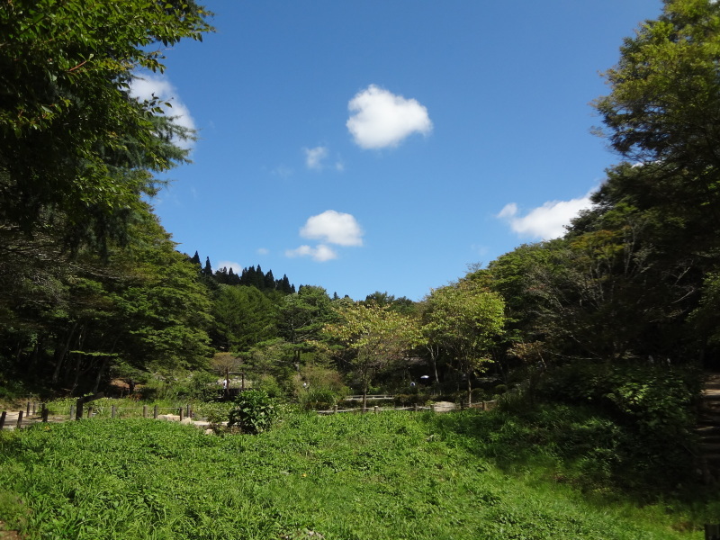 兵庫県六甲ミーツ・アート芸術散歩2019_d0359338_16272598.jpg