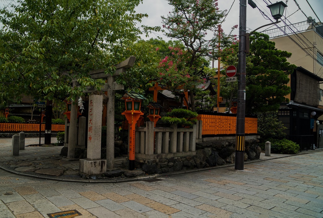 京都市内の百日紅_e0363038_13023395.jpg