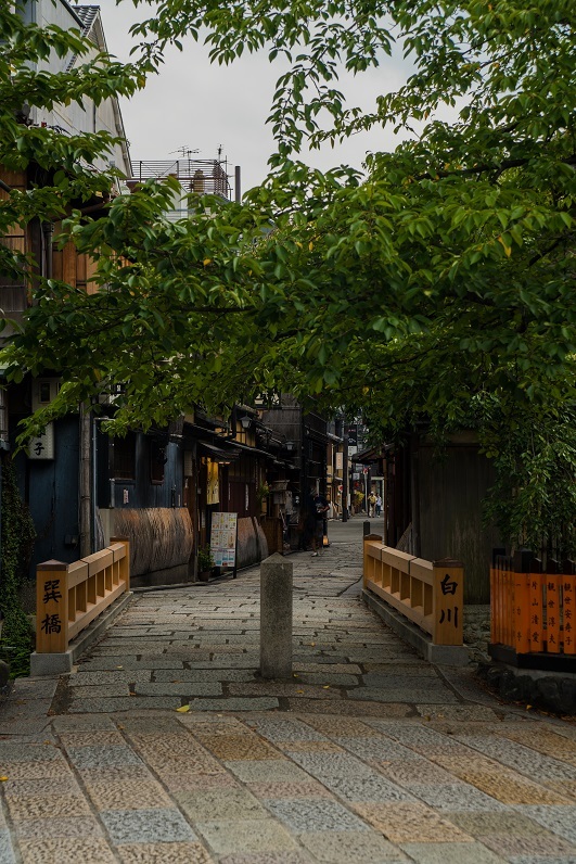 京都市内の百日紅_e0363038_13024301.jpg