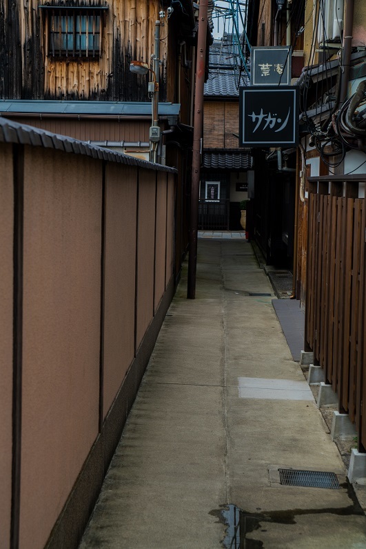 京都市内の百日紅_e0363038_13024743.jpg