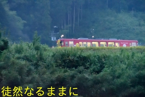 沈下橋と鉄道ホビートレイン（JR予土線）_d0285540_19502716.jpg