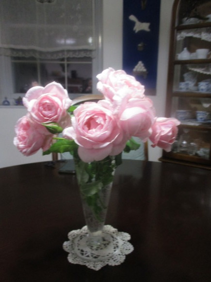 a0279743_11142162.jpg