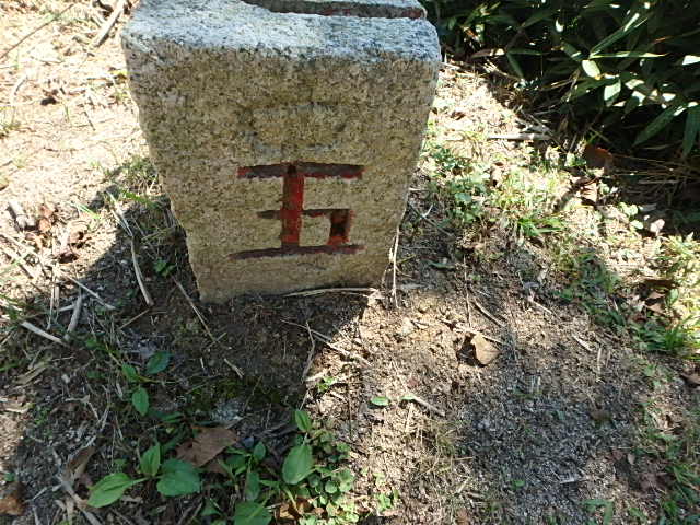 f0334143_8333769.jpg