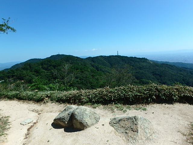 f0334143_8334343.jpg