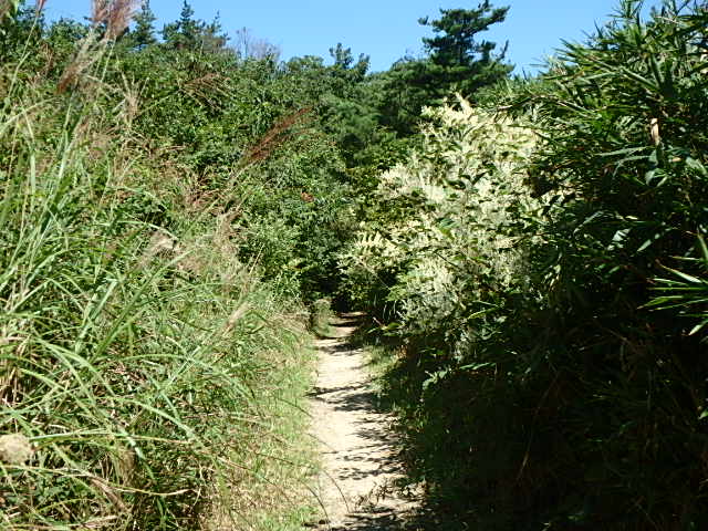 f0334143_8353622.jpg