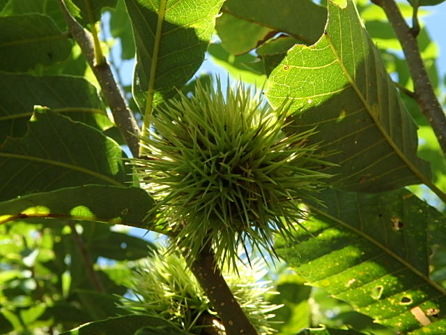 f0334143_8354660.jpg