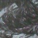 b0136144_16351308.jpg