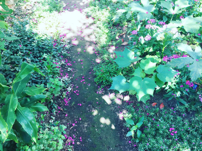 b0072051_21342232.jpg