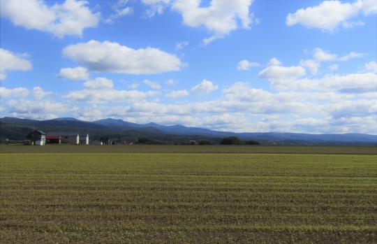 b0220251_04541622.jpg