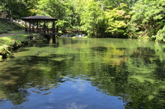 b0220251_04543821.jpg