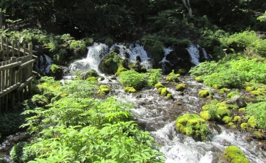 b0220251_04545241.jpg