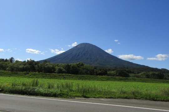 b0220251_04552785.jpg