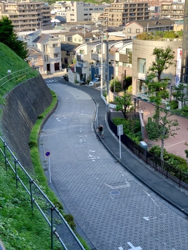 根も葉もない嘘!_b0307951_23480057.jpg