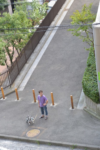 根も葉もない嘘!_b0307951_23494316.jpg