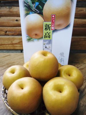 熊本梨 ジャンボ梨『新高』 令和元年度の予約販売の受付をスタート!! 初出荷は9月24日(火)です!_a0254656_18102998.jpg