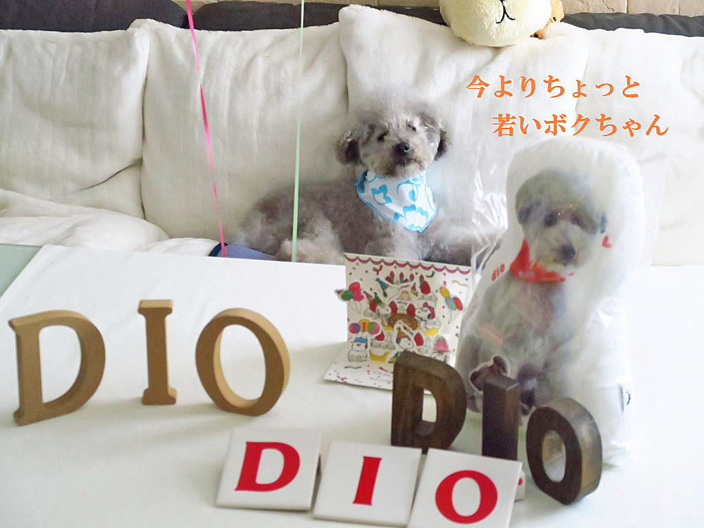 17歳お誕生日プレゼント Dioの徒然日記 17歳お誕生日プレゼント Dioの徒然日記