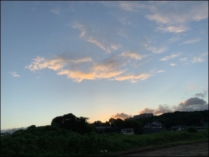 令和元年 9月17日 朝散歩_b0300759_09021691.jpg