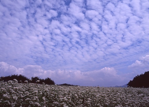 c0303868_09261667.jpg