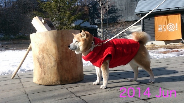 b0274270_10112659.jpg