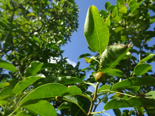d0380572_09514995.jpg