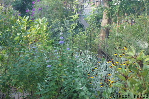 e0181373_21014702.jpg