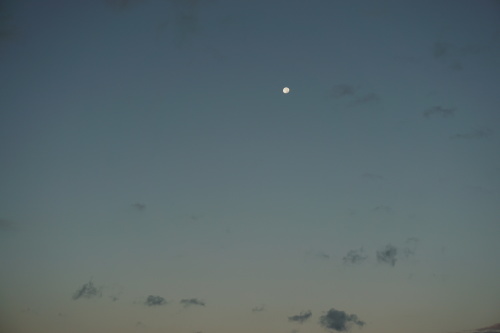 c0169176_07371505.jpg