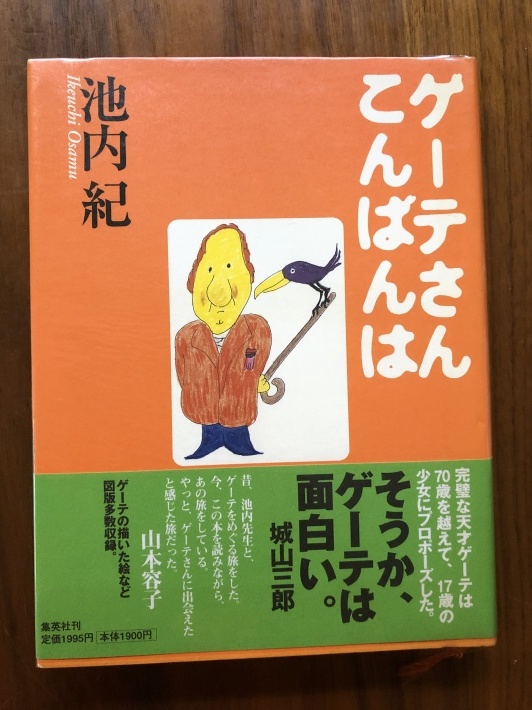 旅の本棚 ゲーテさん こんばんは のあとがきについて 海の古書店