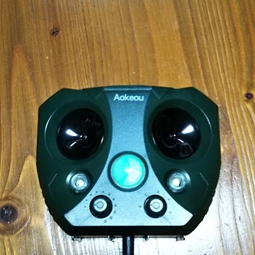 f0185981_20490707.jpg