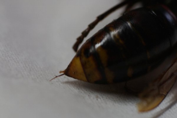 d0138082_16405097.jpg