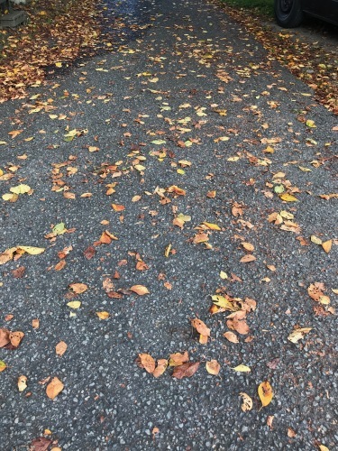 a0216583_23393754.jpeg