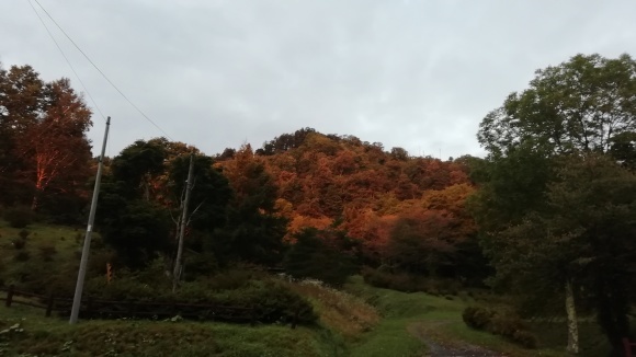c0212083_19402444.jpg