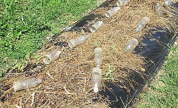 f0003283_06554672.jpg