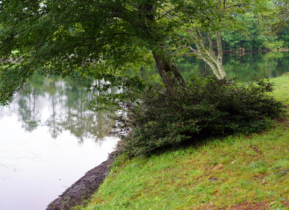 c0229384_12214021.jpg