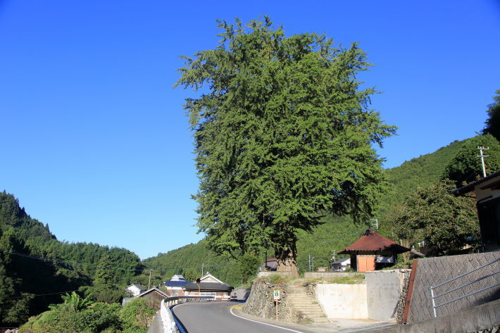 c0358784_20374958.jpg