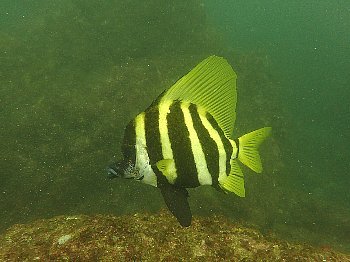 f0079996_17015463.jpg