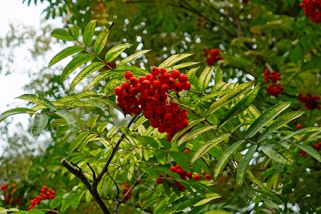 a0151913_22274059.jpg