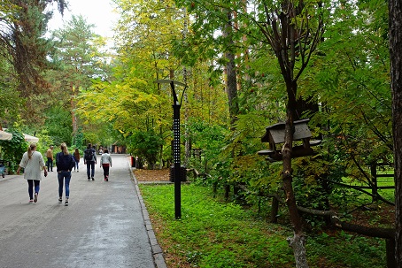 a0151913_22281519.jpg
