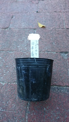 f0371014_21443385.jpg