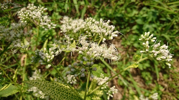 f0371014_22164041.jpg