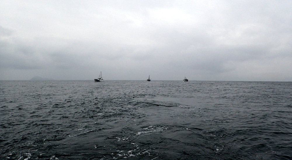 d0171823_21082724.jpg