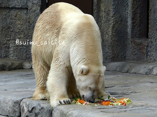 動物たちの「敬老の日」_d0154140_19201457.jpg