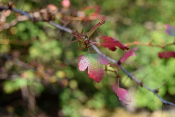 b0319247_07493073.jpg